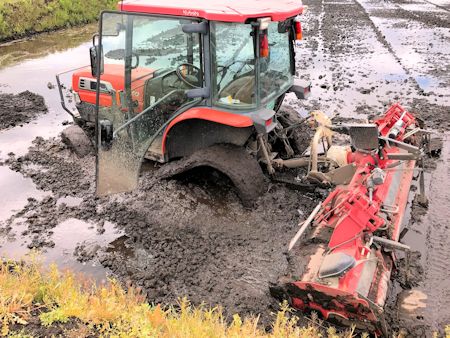 試練・・・ 農家直送・佐藤農園